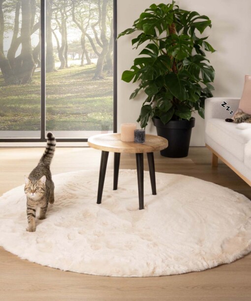 Teppich Rund Flauschig Hochflor - Comfy Plus - Creme - sfeer