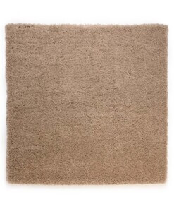 Teppich Quadratisch Hochflor - Cozy Shaggy Beige