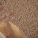 Hochflor Teppich Rund Shaggy Trend - Beige - close up, thumbnail