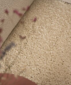 Hochflor Teppich Rund Shaggy Trend - Creme - close up