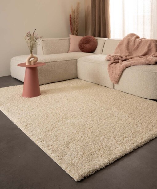 Hochflor Teppich Shaggy Trend - Creme - sfeer