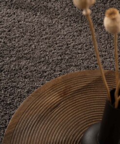 Hochflor Teppich Shaggy Trend - Grau - close up