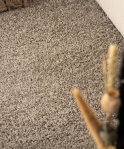 Hochflorläufer Shaggy Trend - Hellgrau - close up