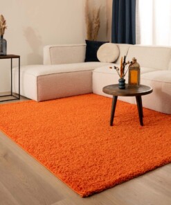 Hochflor Teppich Shaggy Trend - Orange - sfeer, thumbnail