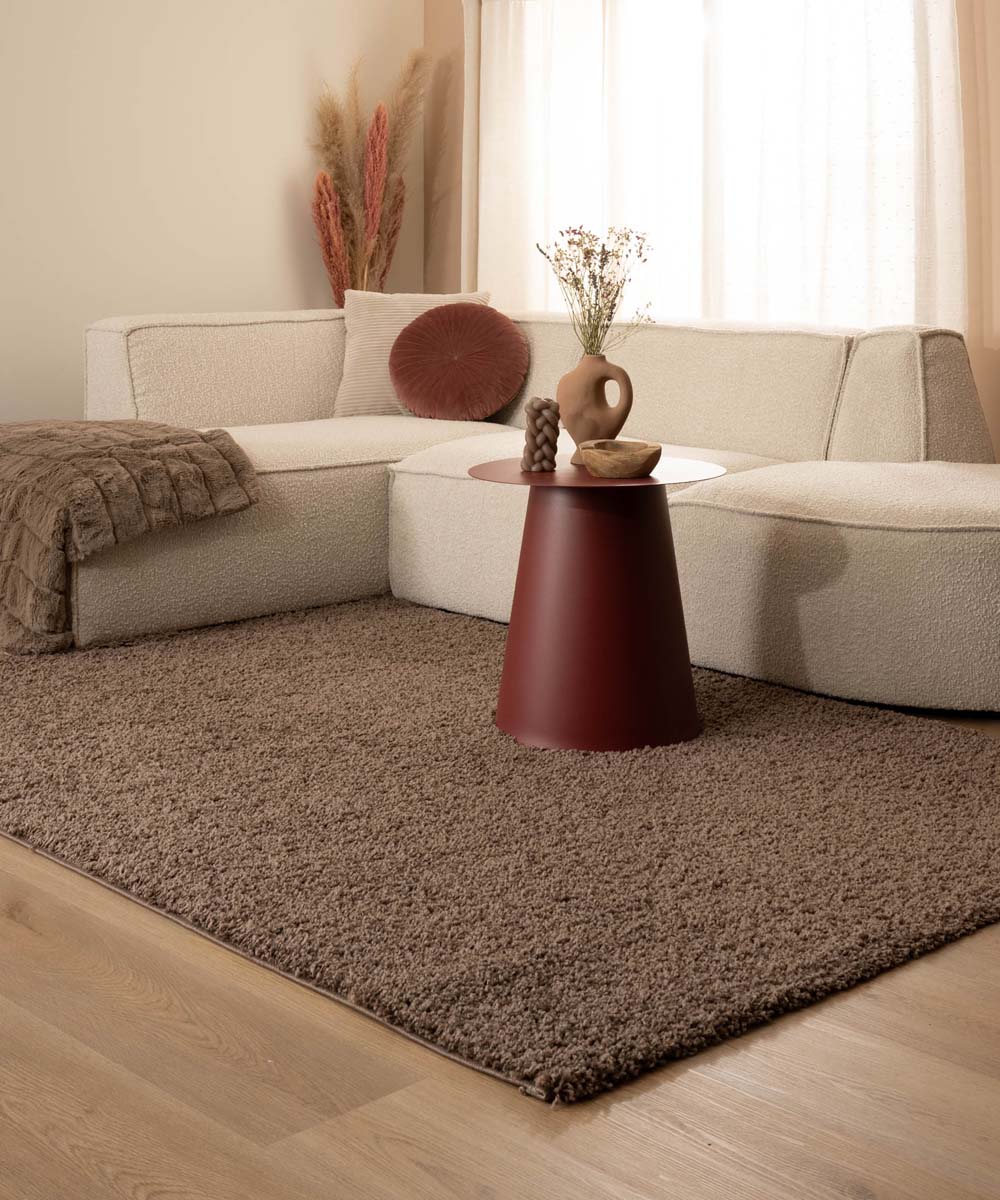 Hochflor Teppich Shaggy Trend - Taupe - sfeer