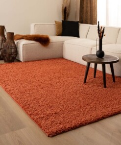 Hochflor Teppich Shaggy Trend - Terrakotta - sfeer