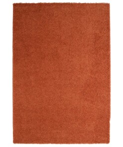 Hochflor Teppich Shaggy Trend - Terrakotta - overzicht
