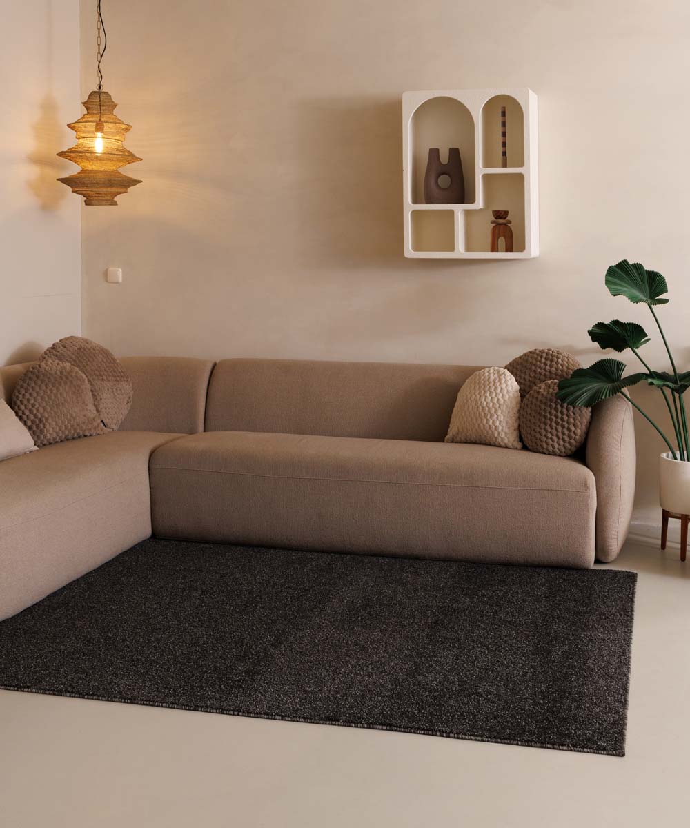 Kurzflor Teppich Fine - Anthrazit Kurzflor Teppich Fine - Anthrazit