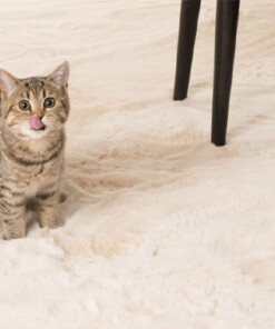 Flauschiger Teppich Hochflor - Comfy Plus - Creme Flauschiger Teppich Hochflor - Comfy Plus - Creme