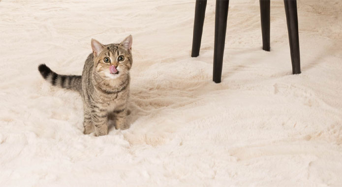 Flauschiger Teppich Hochflor - Comfy Plus - Creme Flauschiger Teppich Hochflor - Comfy Plus - Creme