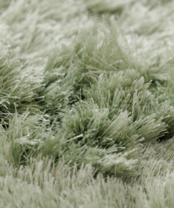 Samtteppich - Auréa Salbeigrün - close up, thumbnail